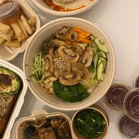   at Hanki in Rovaniemi