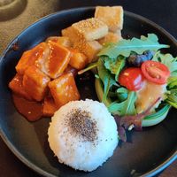 Tofu lunch at Hanki in Rovaniemi