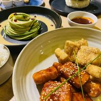   at Hanki in Rovaniemi