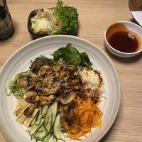   at Hanki in Rovaniemi