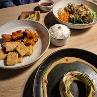  at Hanki in Rovaniemi