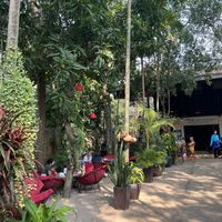   at Peace Cafe in Siem Reap
