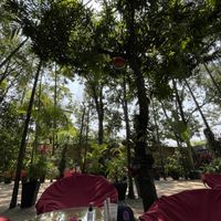 How’s the serenity?  at Peace Cafe in Siem Reap