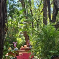 Beautiful garden at Peace Cafe in Siem Reap