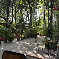   at Peace Cafe in Siem Reap