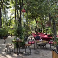 Garden  at Peace Cafe in Siem Reap