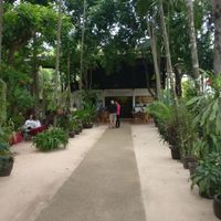 Entrance at Peace Cafe in Siem Reap