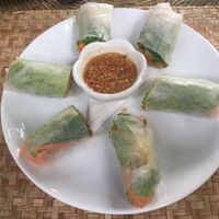 Vegan Spring rolls  at Peace Cafe in Siem Reap