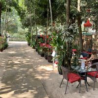 Nice garden with outdoor seating at Peace Cafe in Siem Reap