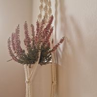 Beauty at BeetBox in Slovenj Gradec