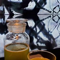 Green tea at Vegan Ramen UZU Kyoto in Kyoto