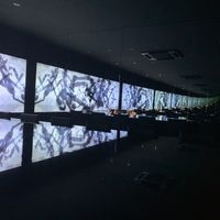 Infinity mirror at Vegan Ramen UZU Kyoto in Kyoto