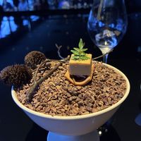 Yatsuhashi on a bed of cacao nibs   at Vegan Ramen UZU Kyoto in Kyoto