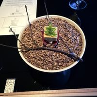   at Vegan Ramen UZU Kyoto in Kyoto