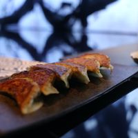 Gyoza at Vegan Ramen UZU Kyoto in Kyoto