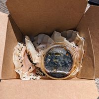 Dumplings. at Plow Bao - Food Truck in Austin