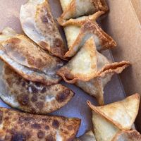 Dumplings & rangoons  at Plow Bao - Food Truck in Austin