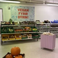   at Vegan Budin in Reykjavik