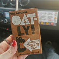  at Vegan Budin in Reykjavik