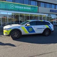  at Vegan Budin in Reykjavik