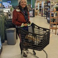  at Vegan Budin in Reykjavik