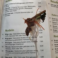 Noodles and  goi cuon with tofu (or egg) at Xinh Xinh in Berlin