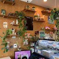   at Dear Diary Coffeehouse in Austin