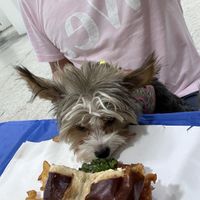   at A Peace of Soul in Columbia