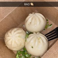 Bao dumplings 🥟  at Green Gene Vegan Cafe in Albuquerque