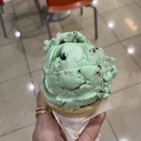 Mint Chocolate Chip vegan ice cream  at Brendy's Yogurt & Ice Cream in Boca Raton