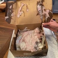 Pie on arrival. at Culiraw in New York City