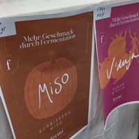 miso @fermi at VeggieWorld  in Meerbusch