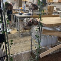 Bakery  at Planted Bakery in Fort Worth