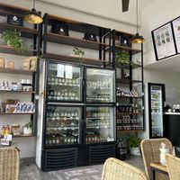   at Liquid Prana in Playa Del Carmen