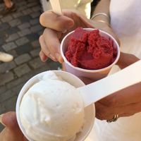 Sour cherry and salted coconut (2,80€ each!)  at Antipodean Gelato in Frankfurt