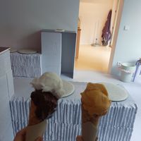 Coconut Mango at Antipodean Gelato in Frankfurt