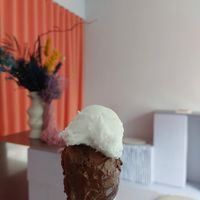 Salty Coconut and dark chocolate at Antipodean Gelato in Frankfurt