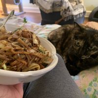 Darwin is happy to spread the word about this lovely pad thai dish being enjoyed at home!  at Happy Thai in Bloomington