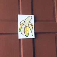 Male toilet at Casa Volkova in La Fortuna