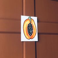 Female toilet at Casa Volkova in La Fortuna