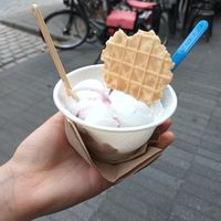Amarene: my new favorite ice cream at IceLab NiceCream Creations in Antwerpen