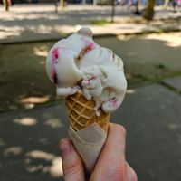 Cheesecake, one scoop. at IceLab NiceCream Creations in Antwerpen