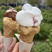   at IceLab NiceCream Creations in Antwerpen
