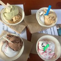 Chocolate, pistachio, speculoos,... All vegan and SO good!  at IceLab NiceCream Creations in Antwerpen