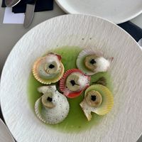 Scallops - a wave of the seas? Maybe?  at Koukoumi Hotel in Mykonos