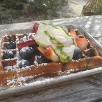 Gluten-free vegan waffle with lemon almond ricotta topping at Flatbread & Butter in St Petersburg