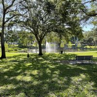   at Flatbread & Butter in St Petersburg