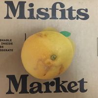 Misfits box (with a grapefruit on top😃 ) at Misfits Market in Philadelphia