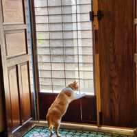  at Vegan Bowl 一碗食舖 - Yī Wǎn Shí Pù in Puli