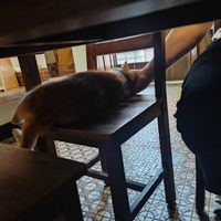  at Vegan Bowl 一碗食舖 - Yī Wǎn Shí Pù in Puli